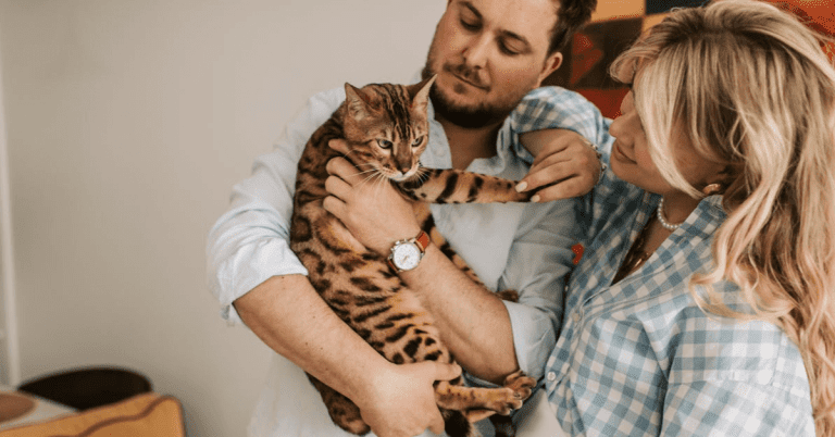 de facto relationship australia | Melrose Keys Lawyers