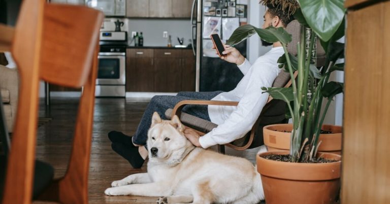 What Is a Companion Animal in Family Law?